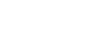 vseth logo